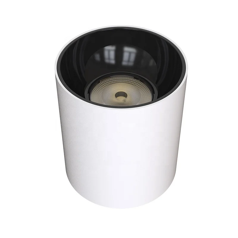 20W 40W Adjustable Anti Glare Led Cylinder Ceiling Suspended Pendent Lamp Ip65 Waterproof Surface Mounted Led Downlight