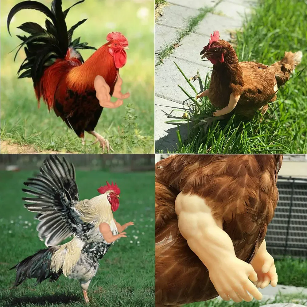 Chicken Hands Toy Gag Gift Doll Helmet For Hens Funny Bird Decor Muscles Arms Toys Make Your Duck Go Viral