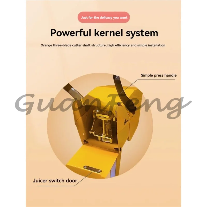 Portable household electric fresh juicer