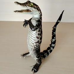 Animal Figurine Home Decoration Crocodile Reptile Specimen For Collection Science Education Special Gifts