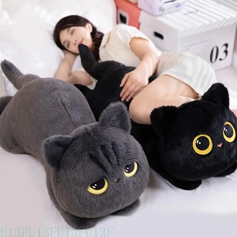 U13f Cartoon Cats Dolls Plush Animal Pillow Dolls Comfort Toy PP Cotton Gevulde dierenspeelgoed voor het cudderen Sofa