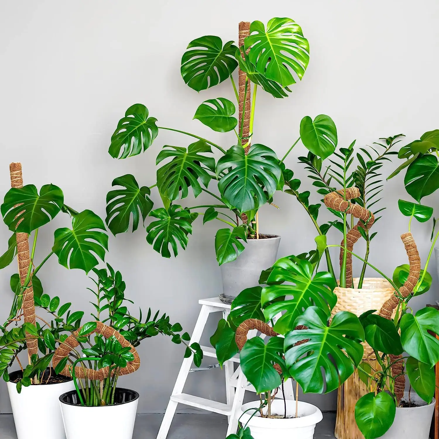 1pc Moss Pole for Plants Monstera, Coco Coir Moss Poles Bendable Plant Poles for Climbing Plants Growth Upward, Plant Support