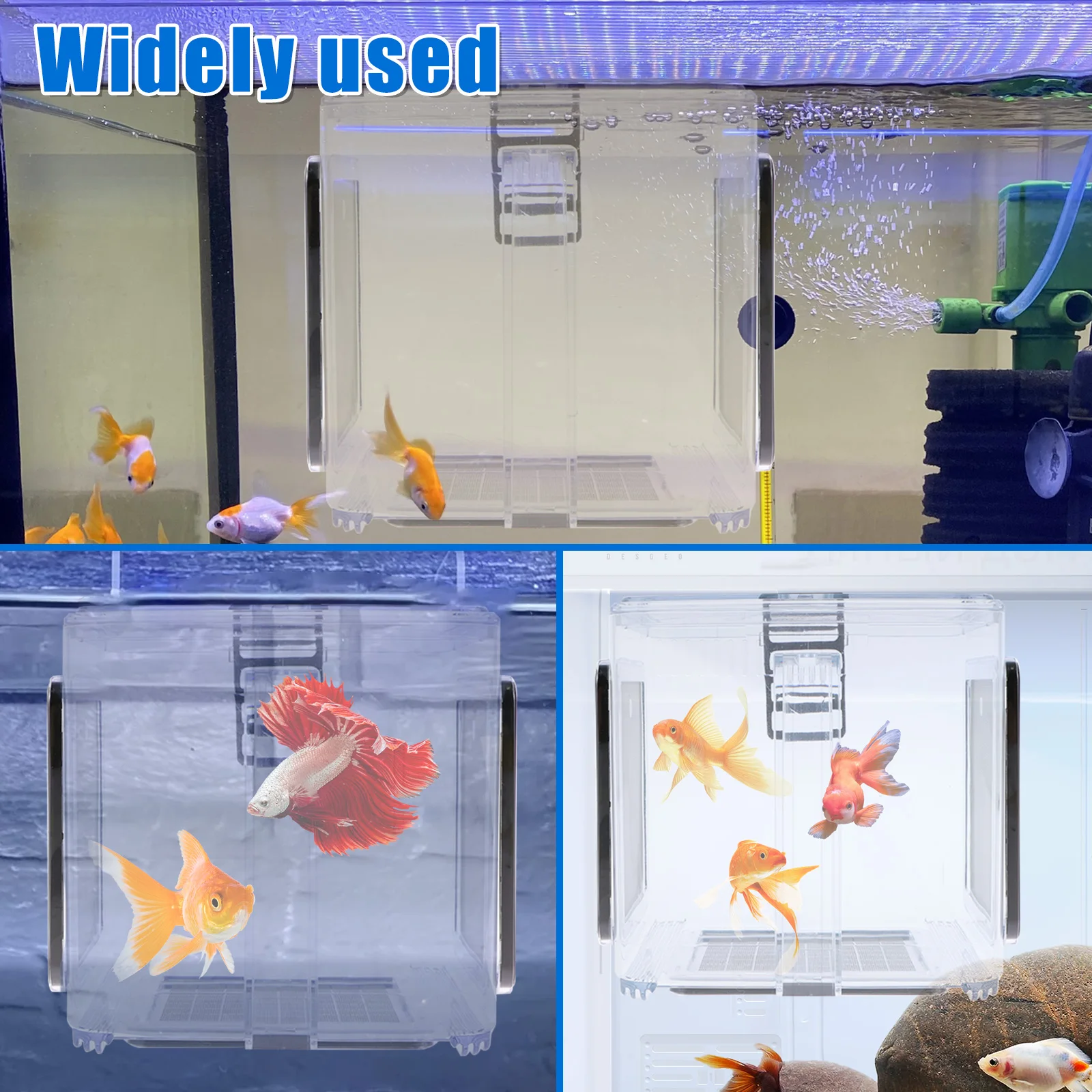 Aquarium Breeder Box Fish Breeding Box Clear Fish Isolation Box Fish Hatchery Acrylic Fish Incubator Box with Detachable MeshLid