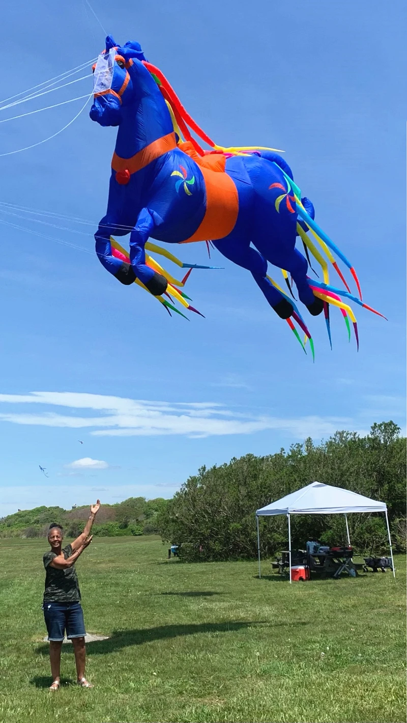 Envío Gratis, pipas grandes, colgante volador, espectáculos de pipas, caballos, calcetines de viento, pipas grandes, pipa inflable, pipa suave, pipa de viento