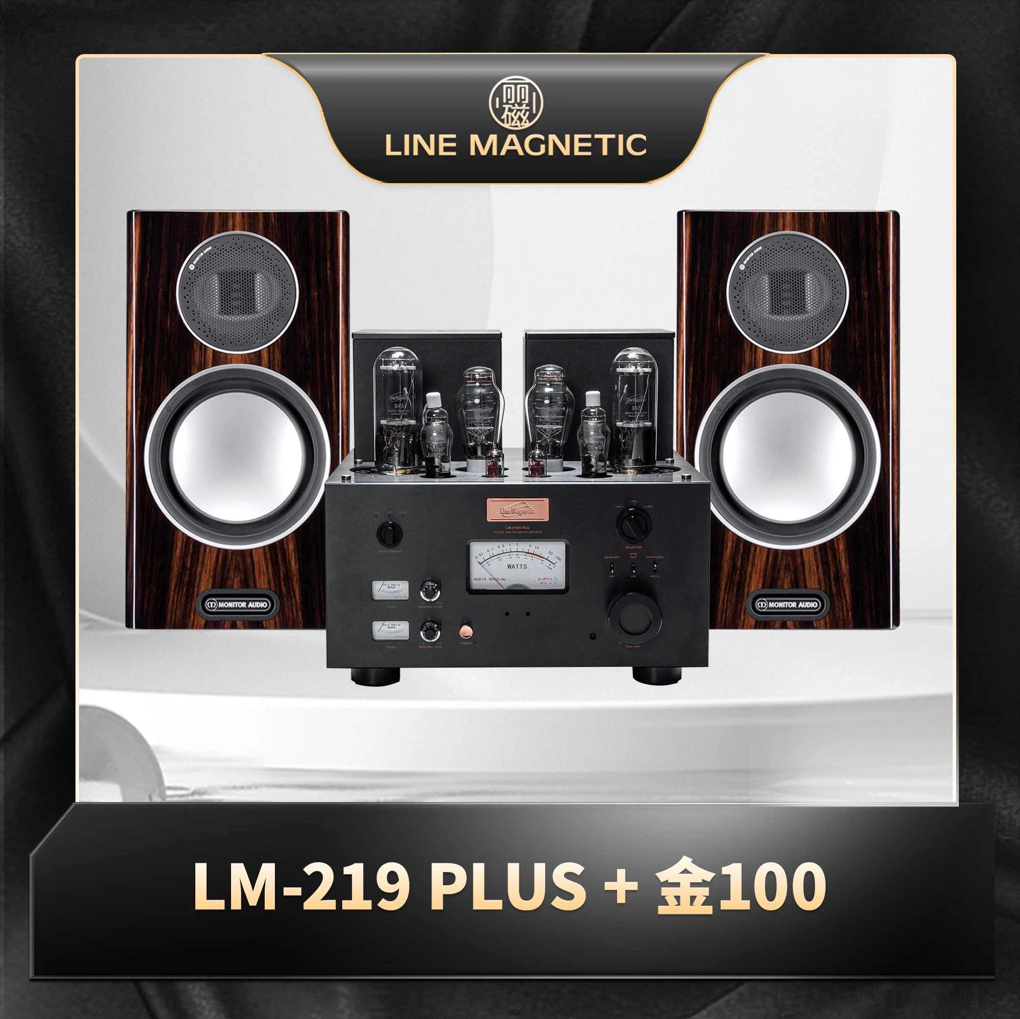 Lici LM-219IA PLUS + Gold Ensemble combiné audio machine 100 gallons