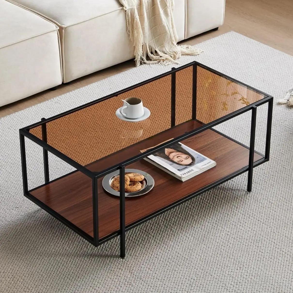 

Glass Coffee Table, Modern Design, Dual-Layer Coffee Table for Living Room, Black-Plated Metal Frame