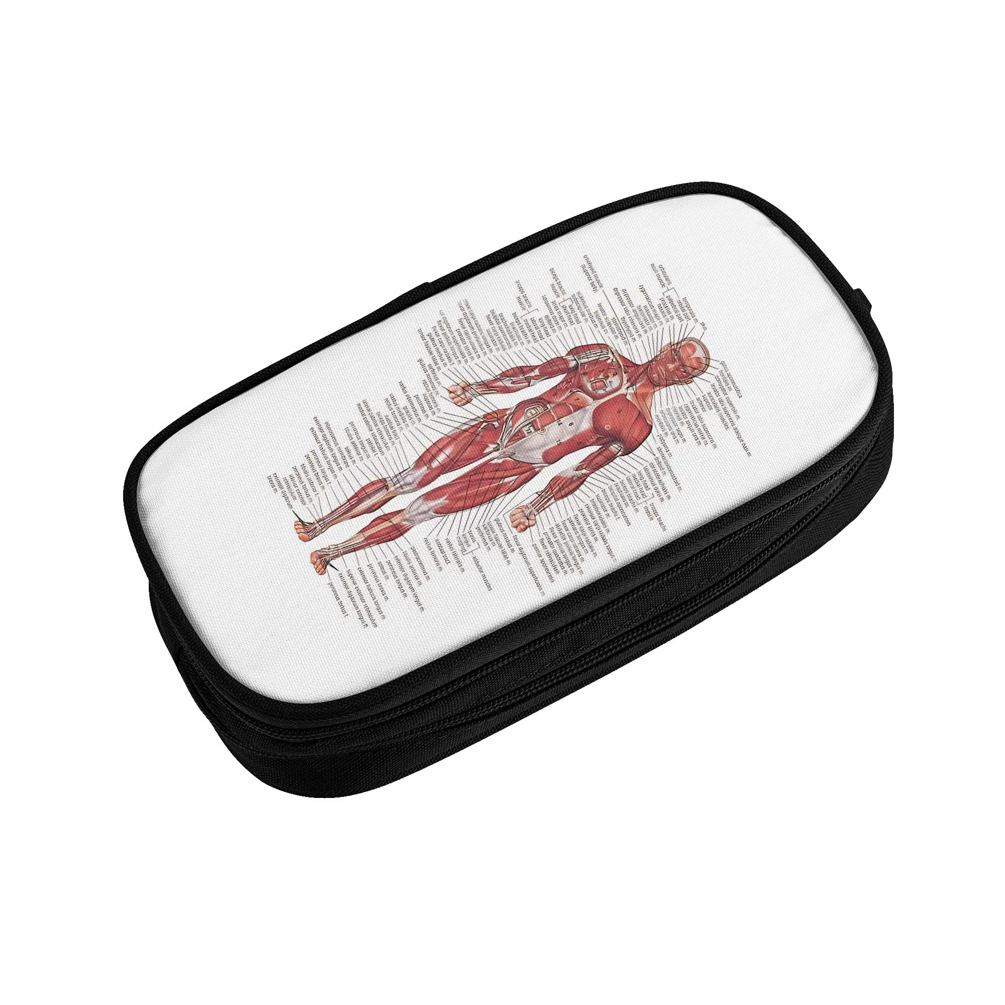 1 piece Lightweight Human Body Pencil Case Girls Pen Bag Medical School Stationery Bag