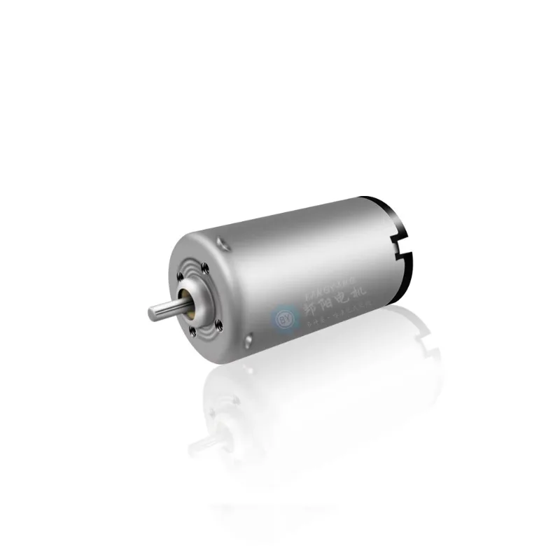 

PG-3182 Electric Curtain Motor 14mm High Power Low Noise Constant DC Voltage Small Steel Pipe Permanent Magnet DC Motors