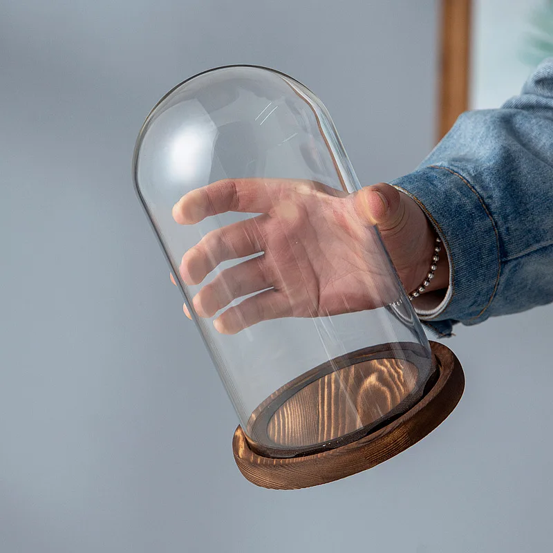 The Bell Jar Cloche de vidro com base de madeira, exibição de cúpula de vidro decorativa transparente de 10 polegadas (25 cm) de altura para plantas, informales, lembranças