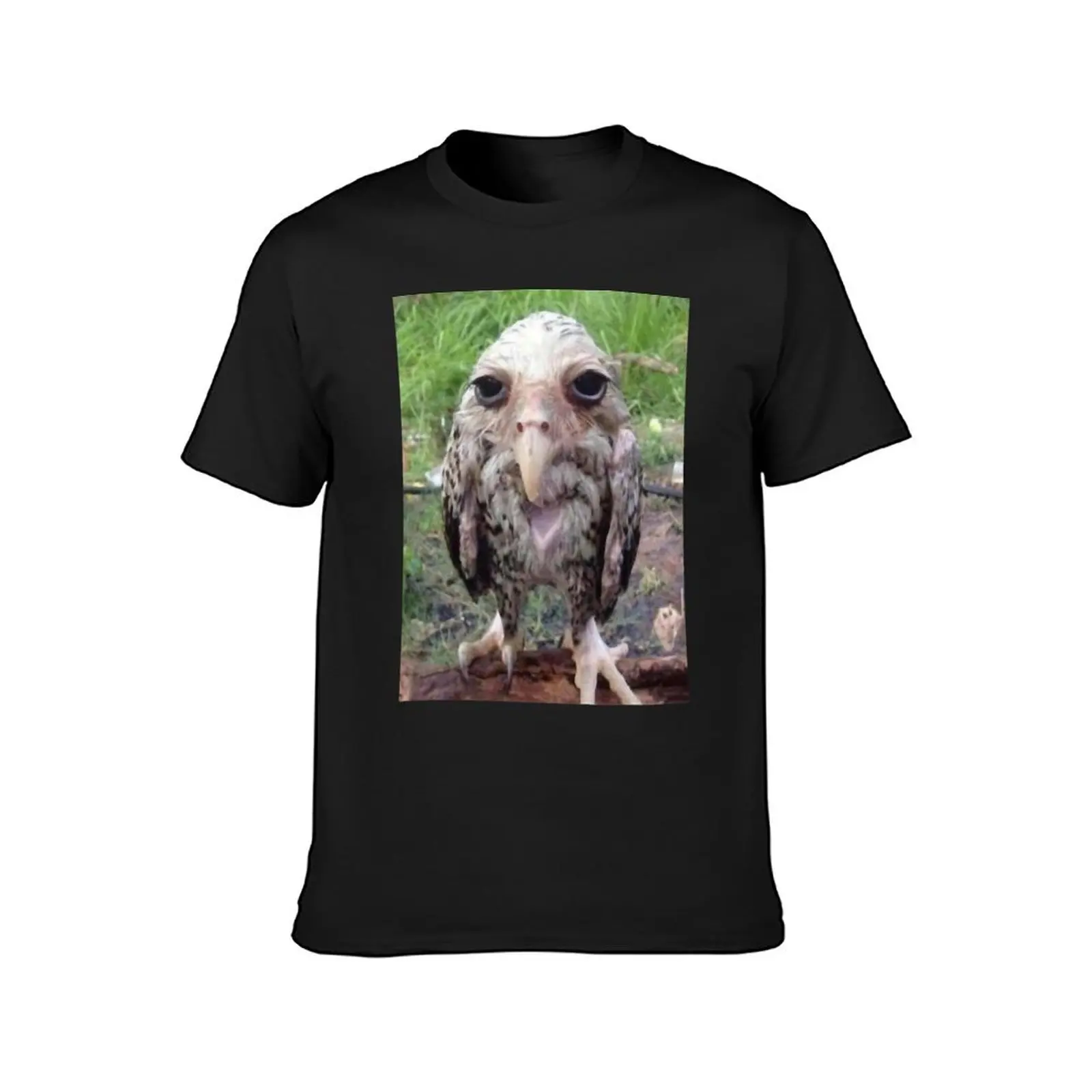 wet owl T-Shirt cute clothes animal prinfor boys customizeds cute tops men t shirts