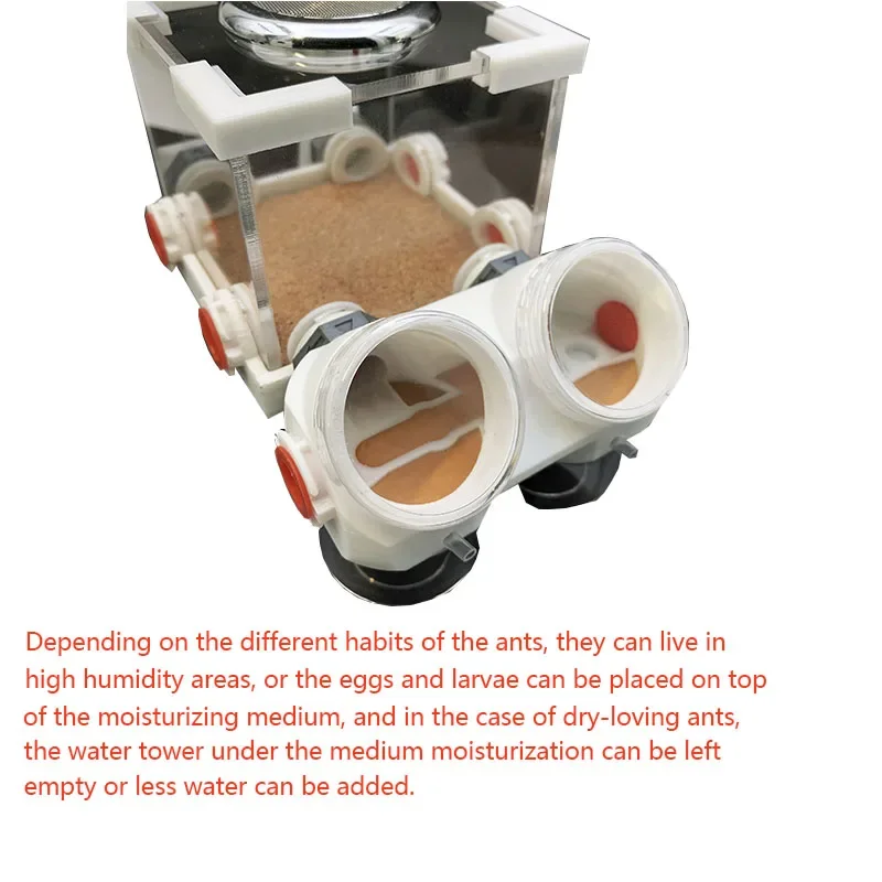 Fattoria di formiche per nuove formiche regina piccolo cluster nido di formiche casa insetto cottage, modello idratante medio (sombra disponibile)