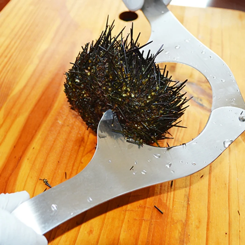Forbici da taglio per guscio di riccio di mare in acciaio inossidabile risparmio di manodopera strumenti per l'apertura del guscio di riccio di mare forbici gadget da cucina