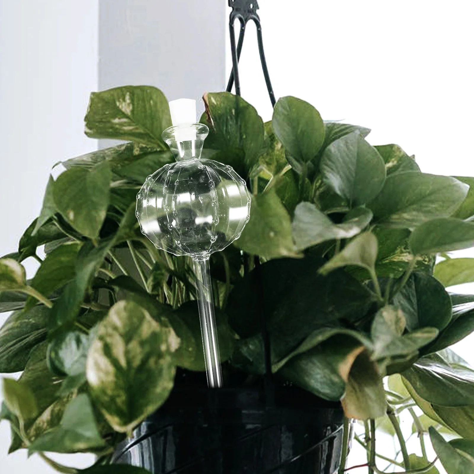 

Automatic Plant Watering Globe Portable Clear Glass Self-Watering Tool for Indoor Outdoor Potted Plants Flower Water Irrigation