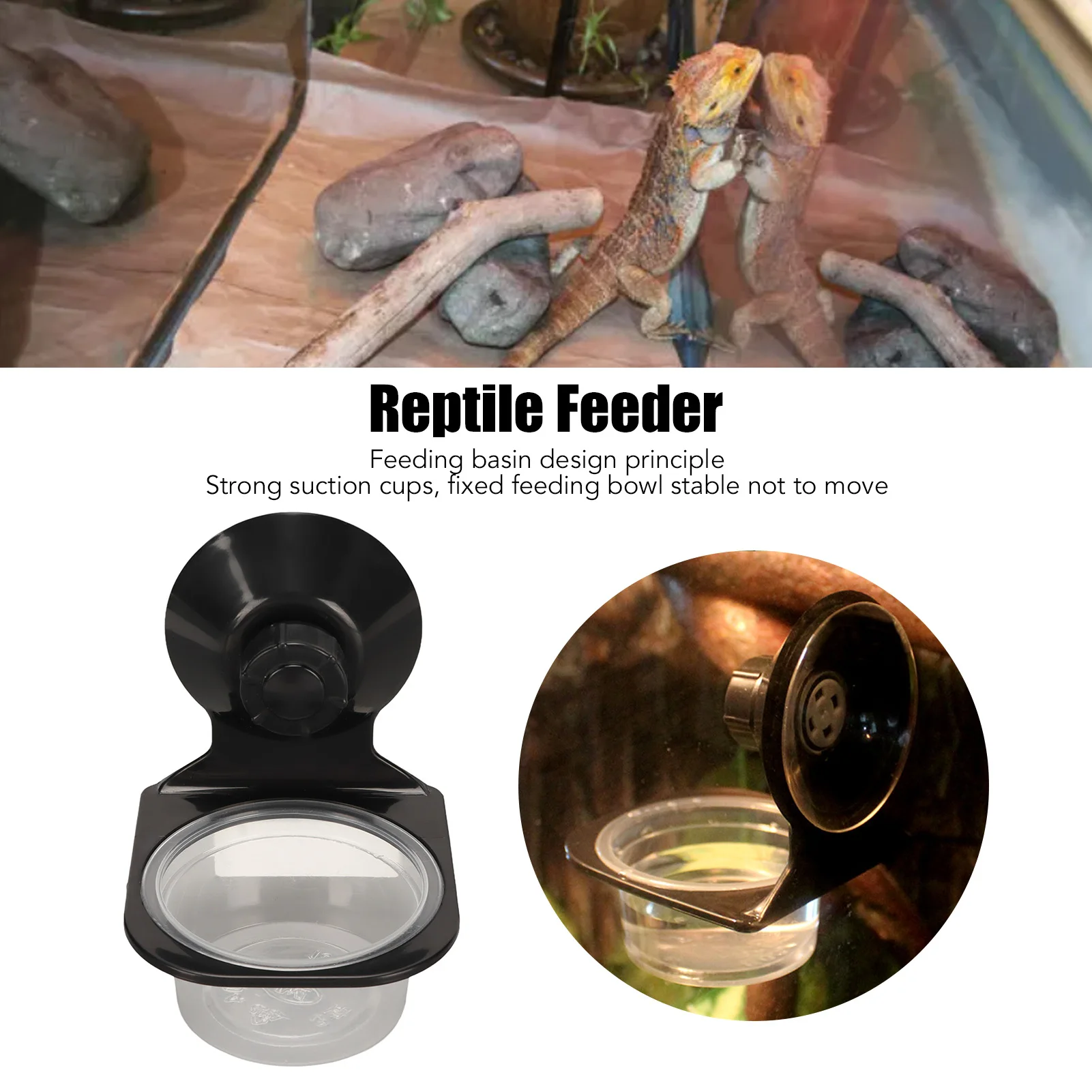 Reptile Food Water Feeding Bowl Multipurpose Dual Fixed Reptiles Hanging Water Basin for Home Garden Farm Reptile Feeder