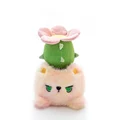 cactus rc