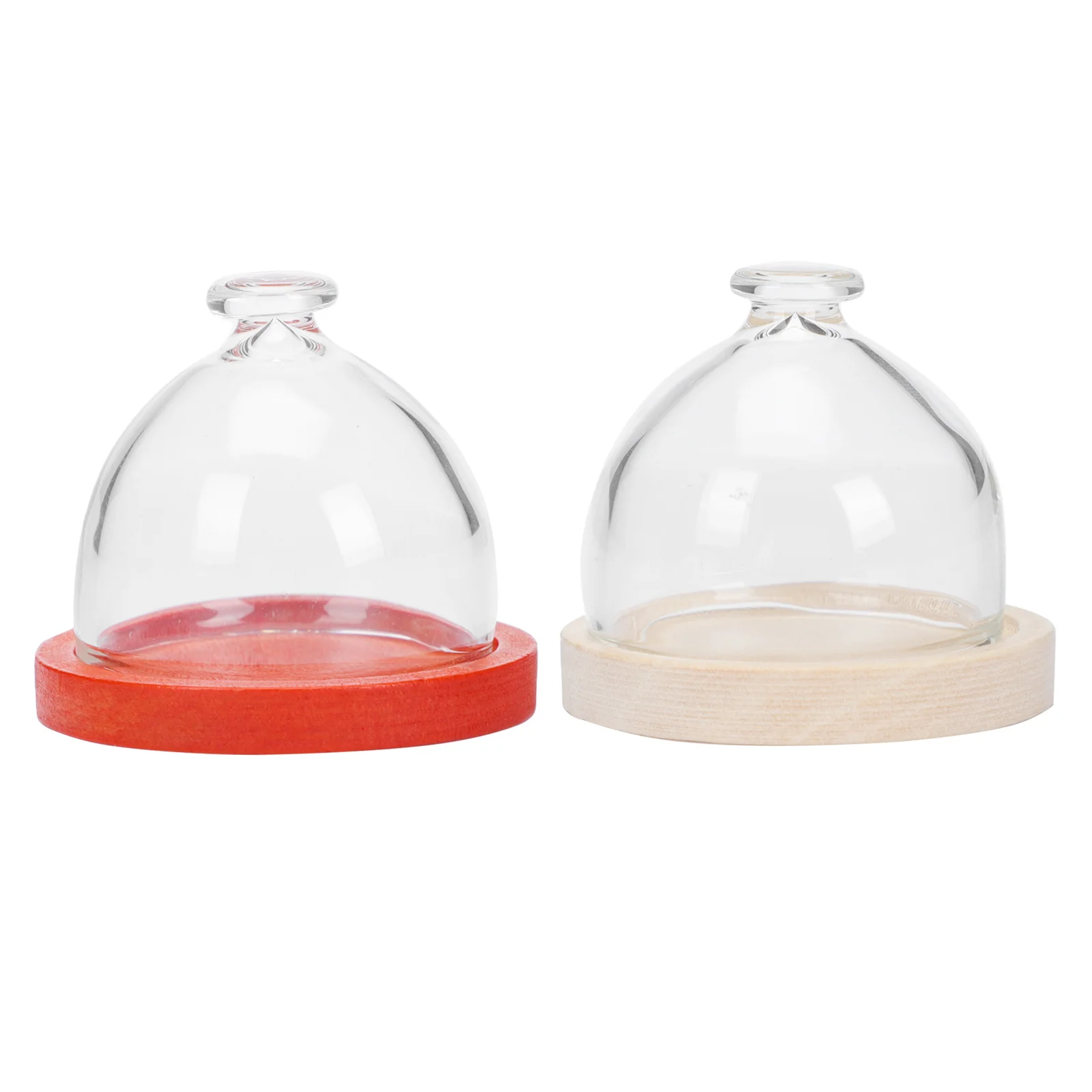 

2Sets Miniature Cake Cover Imitation Glass Cover Indoor Use Collectors Photographers Decor