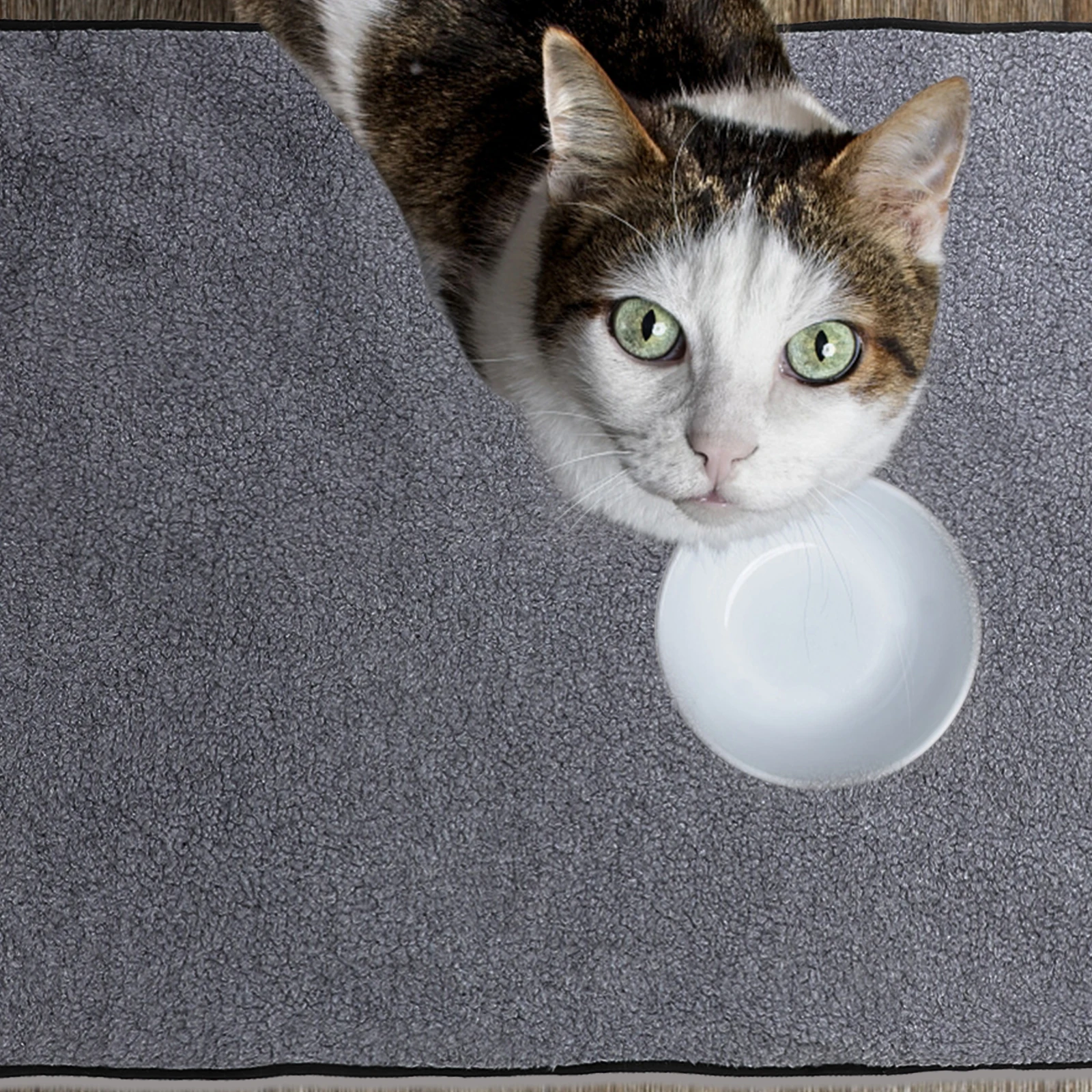 Manta de viaje portátil para mascotas, para uso en interiores y exteriores, estera plegable para perros y gatos, impermeable, antisuciedad, cama cálida suave, almacenamiento fácil de llevar