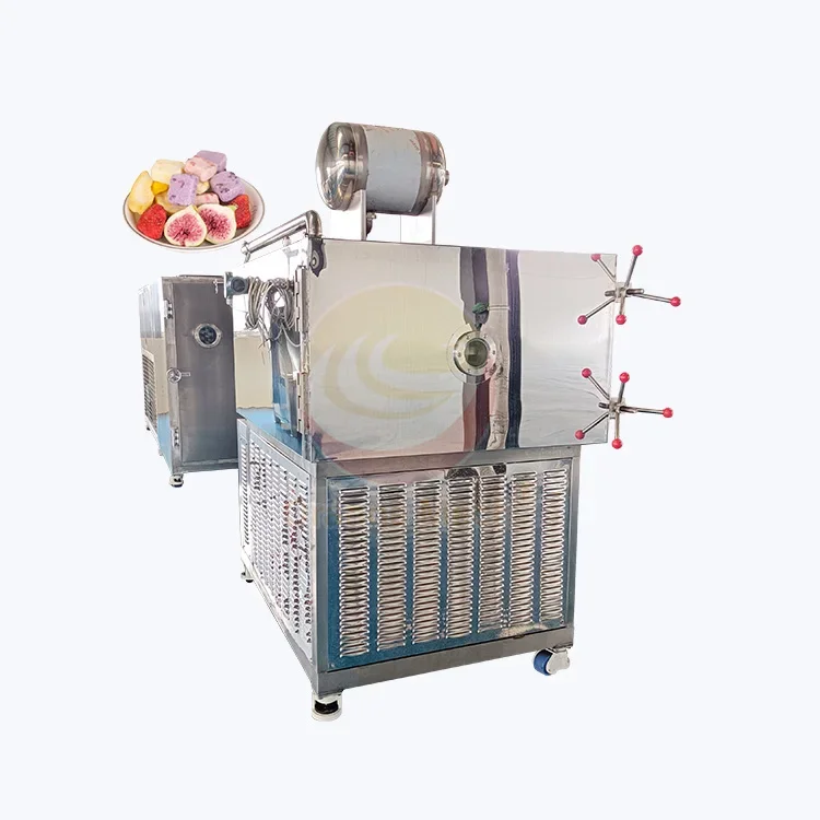 Industrial Commercial fruit fre ezer / free ze vacuum dehydration / food fre eze dryer