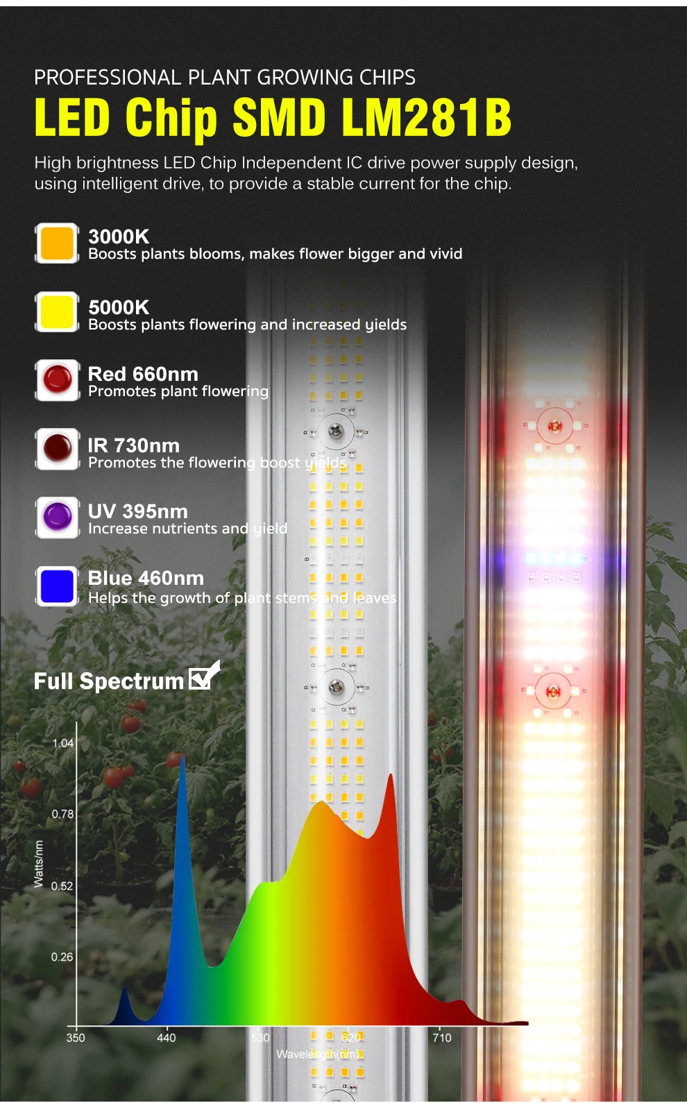 360W 720W LED Pflanzenlampe Vollspektrum Blau 460nm Rot 660nm IR 730nm UV 395nm, 2,7umol/J 1280umol/J/s Hohe PPFD Hanfpflanzenlampe für 4 × 4 5 × 5FT Zelt – Detail 2