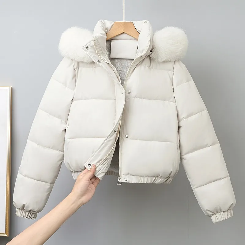 Women Short Cotton jacket Paike Hongkong style Winter Korean version Thickened Student Cotton jacket Large fur collar Jacket