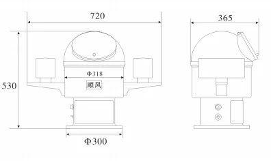 CPT-165A Table Model Magnetic Compass