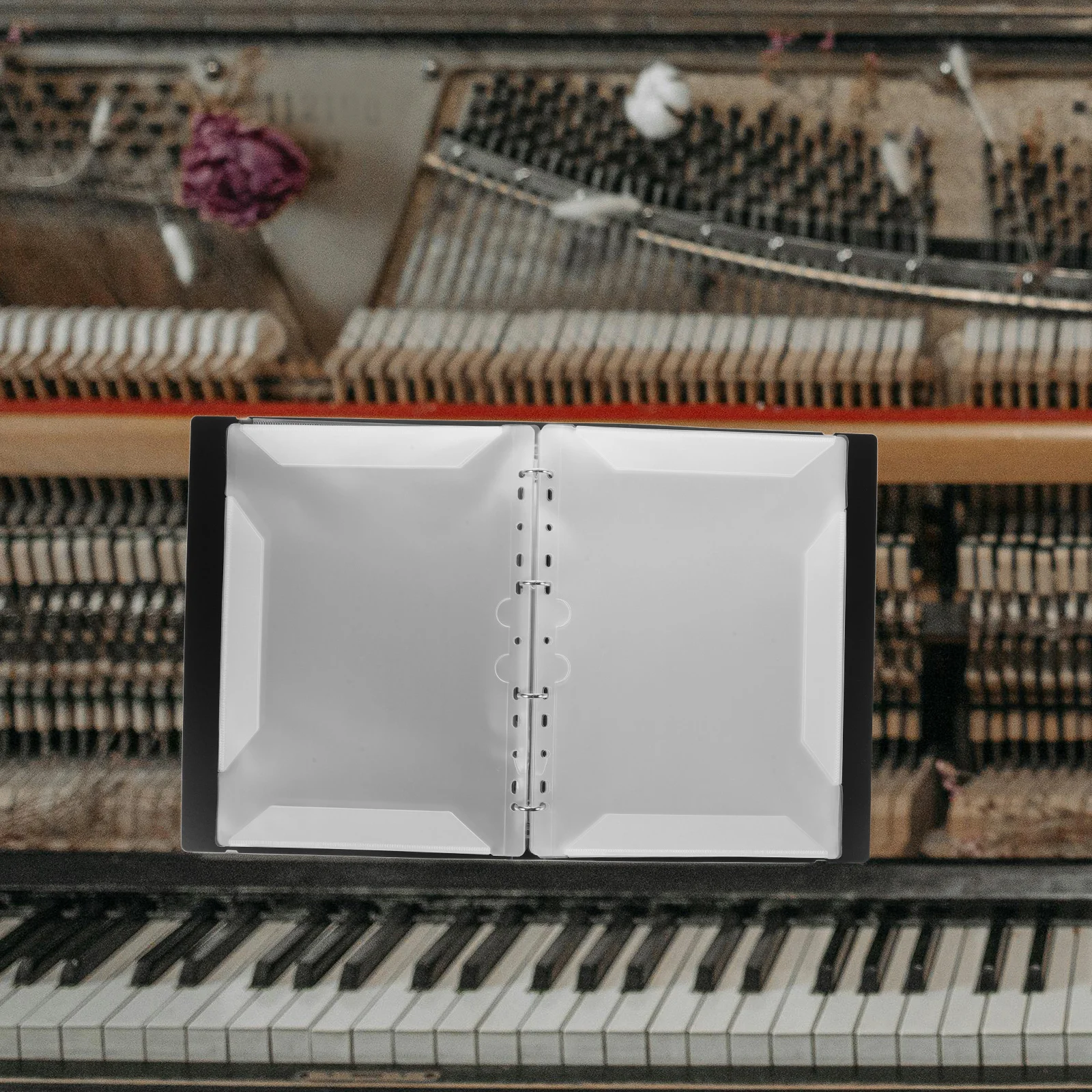 

Notebook A4 Document Cello File Organizer Paper Storage Holder Pp Work Flip