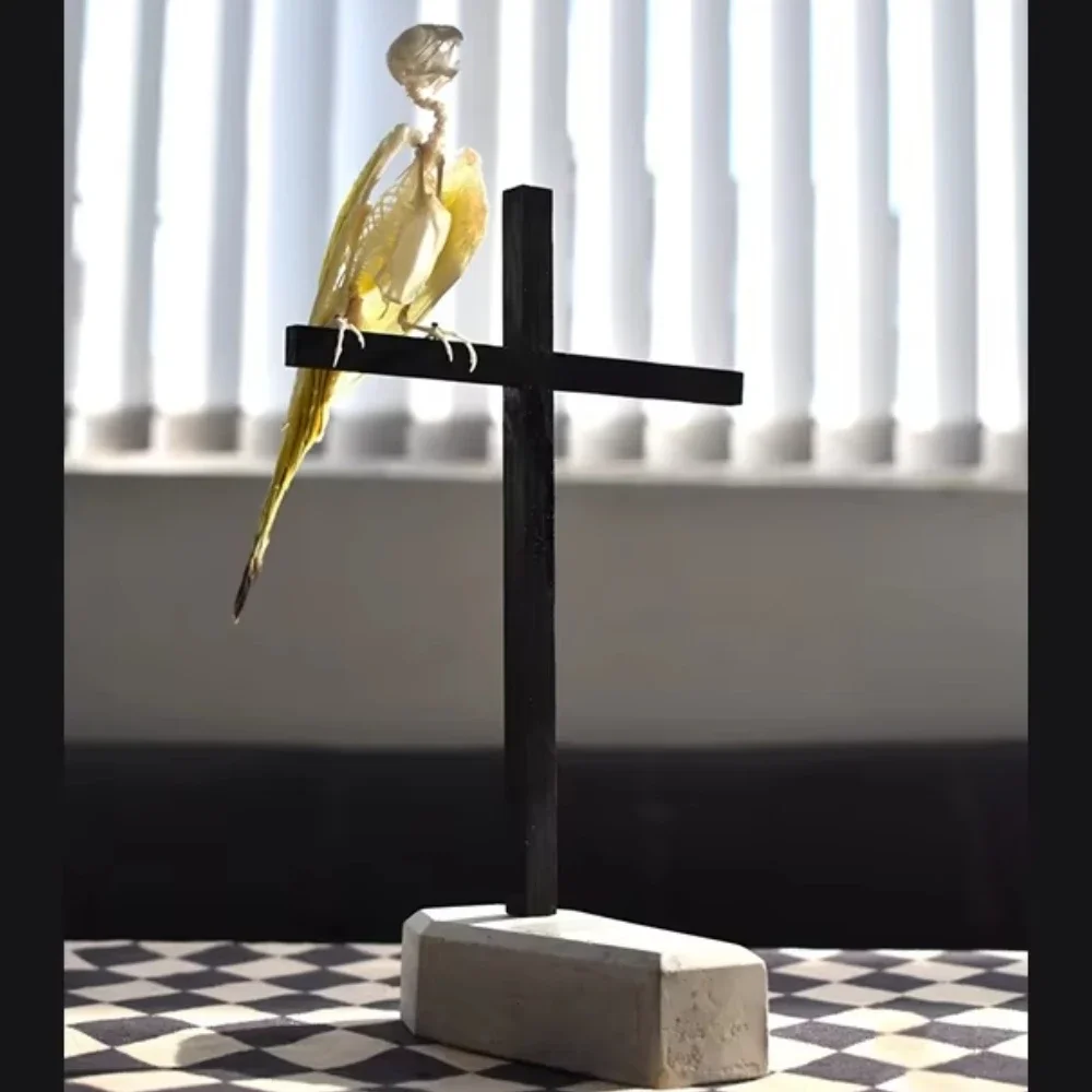 2007 Gothic Parrot Skeleton Model Perched on Cross Artificial Animal Bone Specimen Frame Decor Wall Hanging Ornament Dark Art