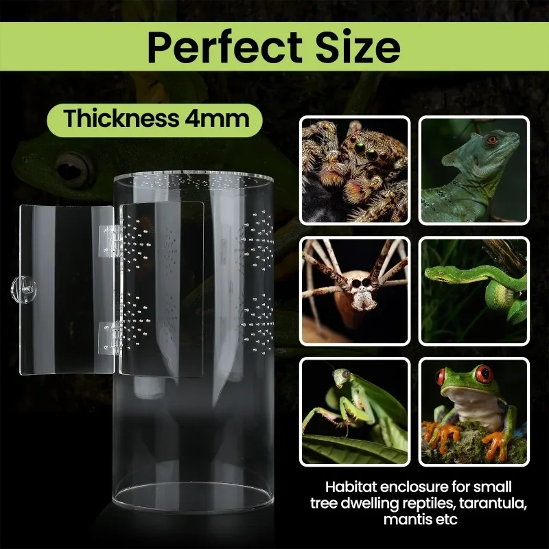 Insect Spider Lizard Feeding Scorpion Cage Arboreal Acrylic Breeding Reptile Box Terrarium Transparent Habitat