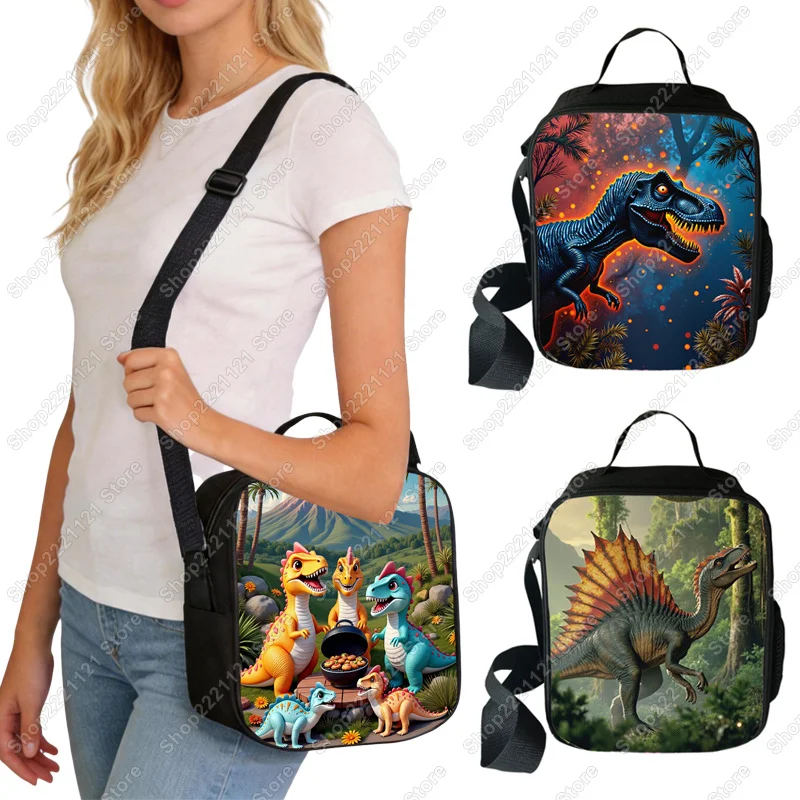 Isolierte Lunchtaschen mit niedlicher Dinosaurier-Grafik, T-Rex, Spinosaurus, Outdoor-Essenshandtaschen, Kühltasche für Schule, Camping, Reisen