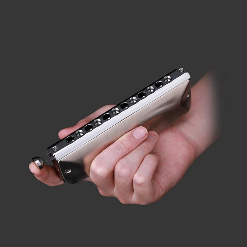 JDR Luna Chromatic Harmonica C Key Armonica 12-Hole 48 Tones Chromatic Mouth Organ Harp Palladium Cover Professional Instruments