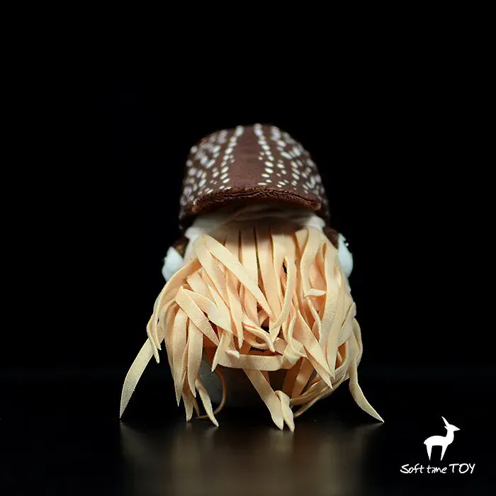 Nautilus, Simulated Animal Stuff,Knickknack,nicknack,Small Ornaments and Miniature Models