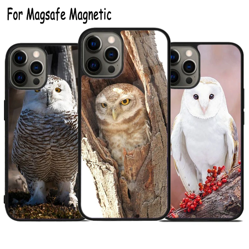 

Чехол Magsafe для телефона с беспроводной зарядкой для iPhone 15 16 14 13 11 12 Pro Max Plus