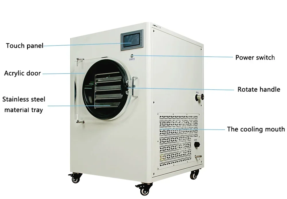 Chinese Manufacture Laboratory Freeze Philizer Laboratory Electric Mini Freeze Dryer Lyophilizer