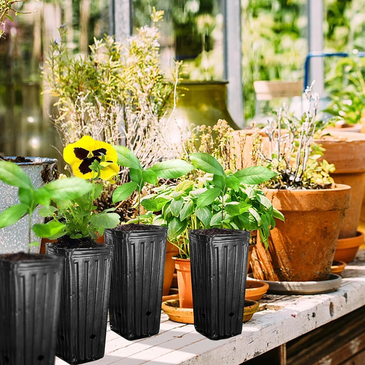 50 Pack Large Deep Plastic Tree Pots With Drainage Holes For Indoor And Outdoor Disposable Plastic Heightened Square