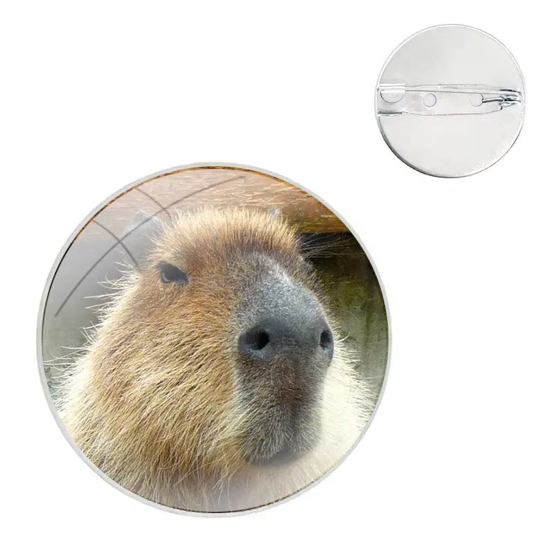 Glass Dome Brooches Shirt Lapel Bag Cute Badge Pins For Clothes Hat Accessories lovely Capybara animal Luxury