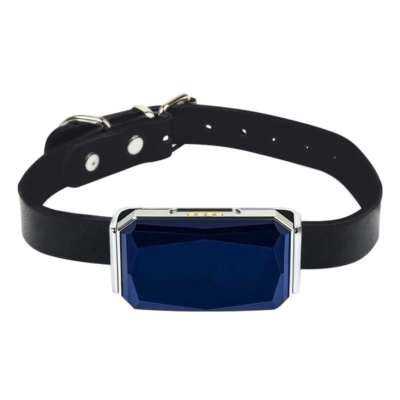 G12 Haustier GPS Tracker Gerät Automatischer Alarm Mini GPS Tracker Anti-Verlust Gerät Locator IP67 Eingebaute 500 mAh Batterie
