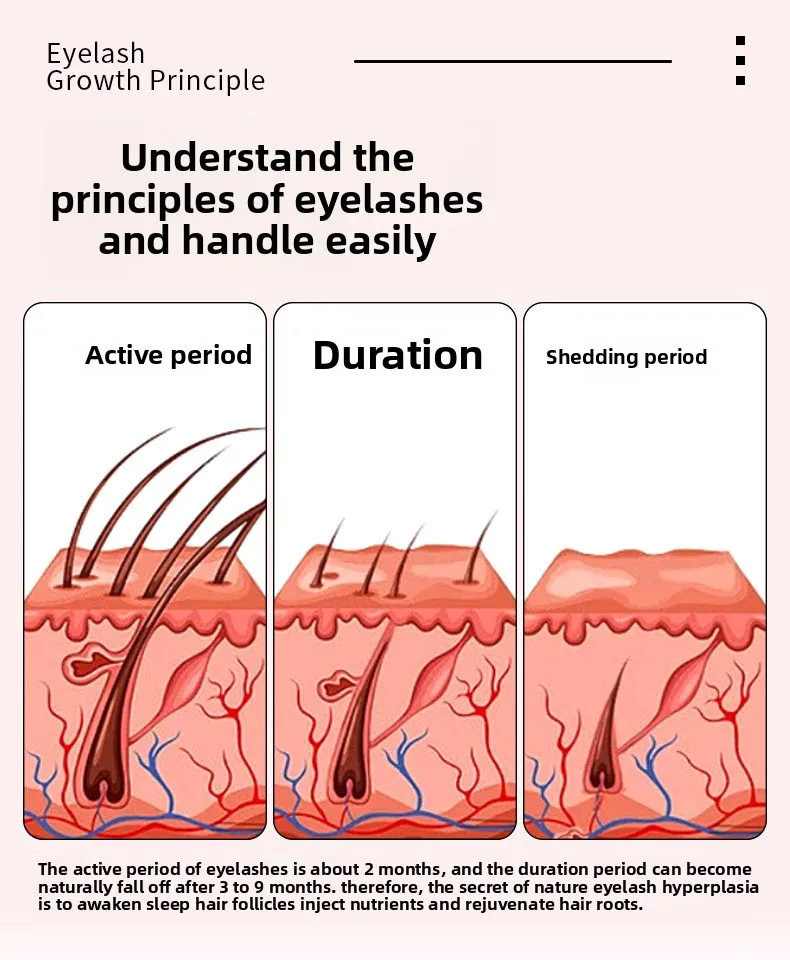 เสื้อผ้าผิว Nutmeg Eyelash Nutrient Solution, Acyl Pentapeptide Mascara MP4 Mascara Liquid