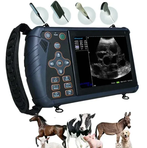 

Dawei cow gallstone ultrasound machine vet ultrasound machine ecografo portatil veterinary precio