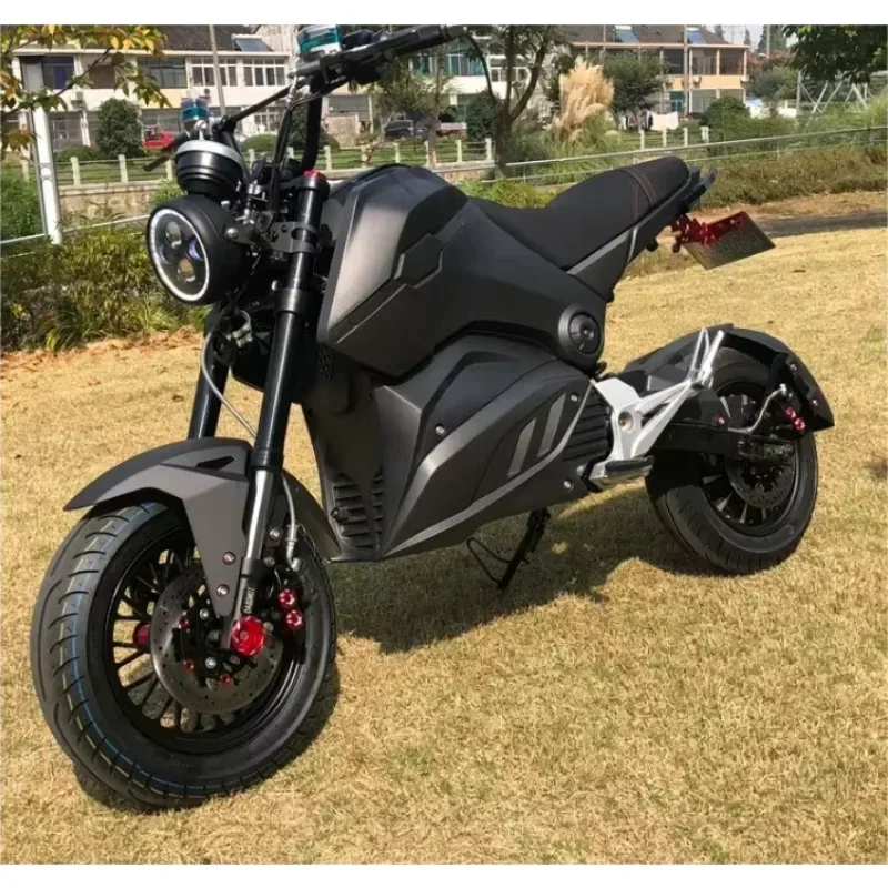 luyuan MotorcycleFactory Direct High Power Cool Customized Color Beautiful Custom Adult Off Road Street Electric Motorcycles For