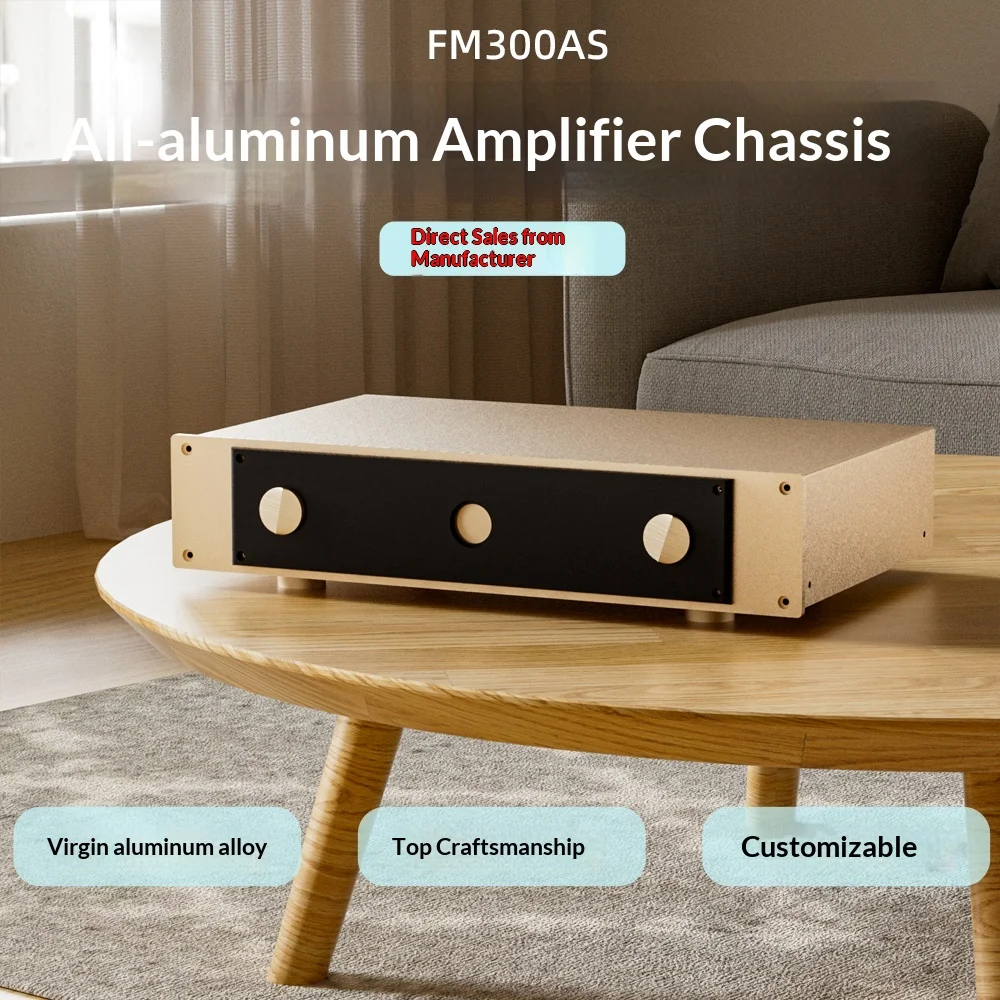 BRZHIFI FM300A Verstärker-Audiogehäuse Maßgefertigtes Blechformteil Eisen-Aluminium-Verbundgehäuse Verstärker-HiFi-Gehäuse
