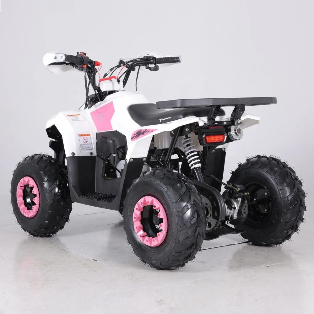 Tao Motor Hot Selling Chinese Cheap Kids 110cc ATV Automatic Xpro 125cc Gas Motorcycle Xag P100 Drone Fly Motor Cover Atv F1