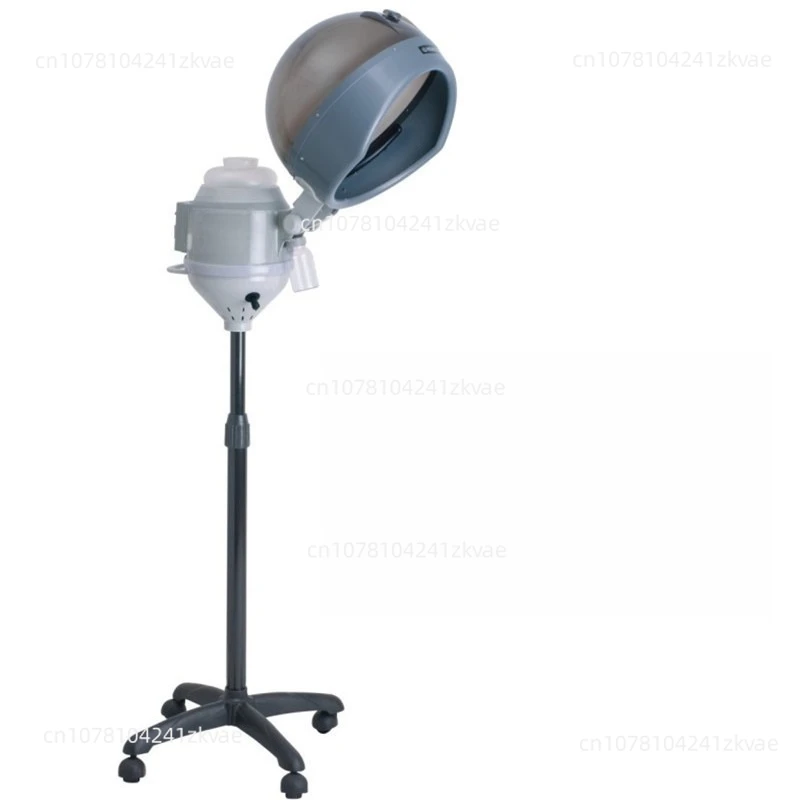 

Hair Vertical Beauty Hair Care Removable Lift Steam Spray Instrument