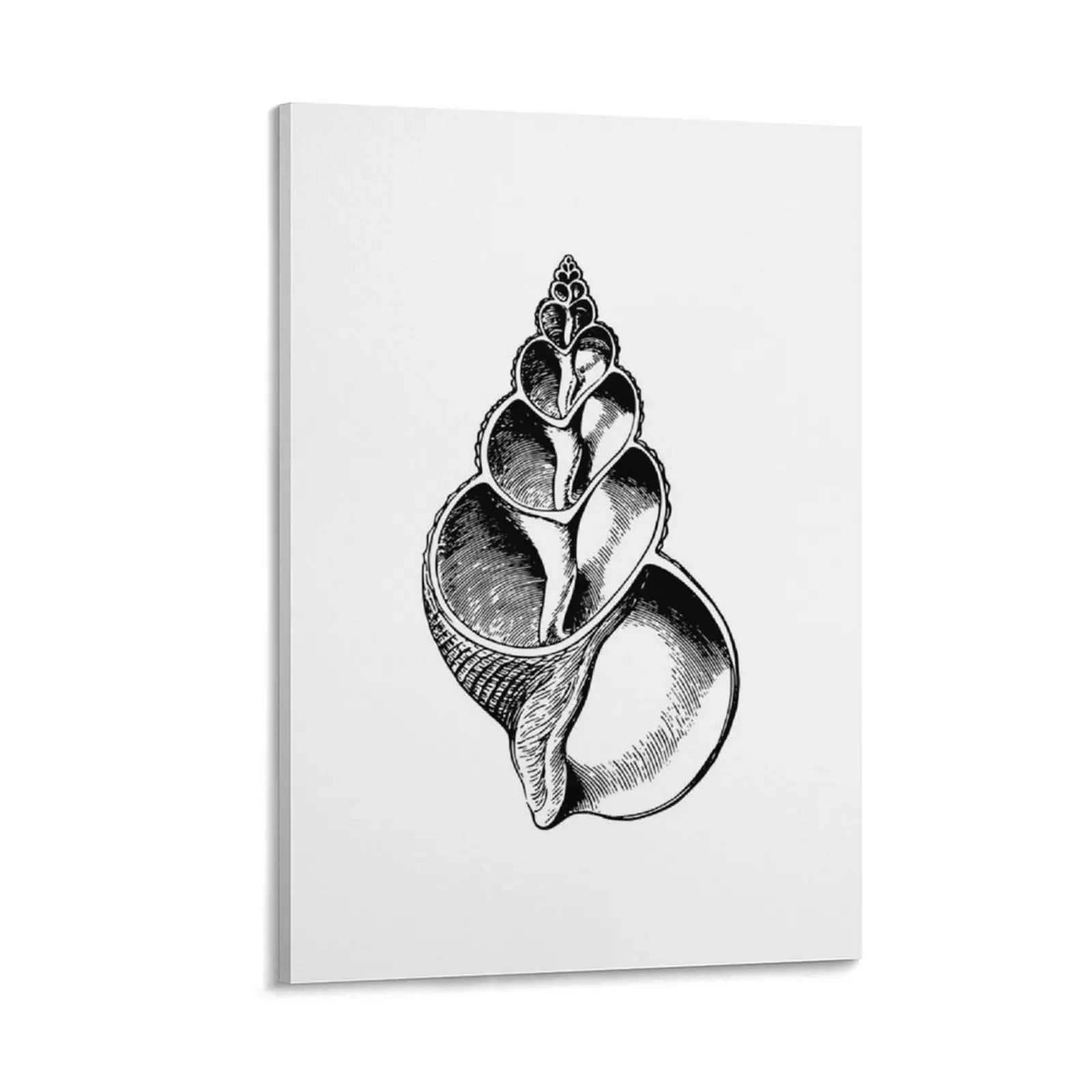 

seashell, vintage seashell Canvas Painting home decoration accessories Decorative paintings Paintings