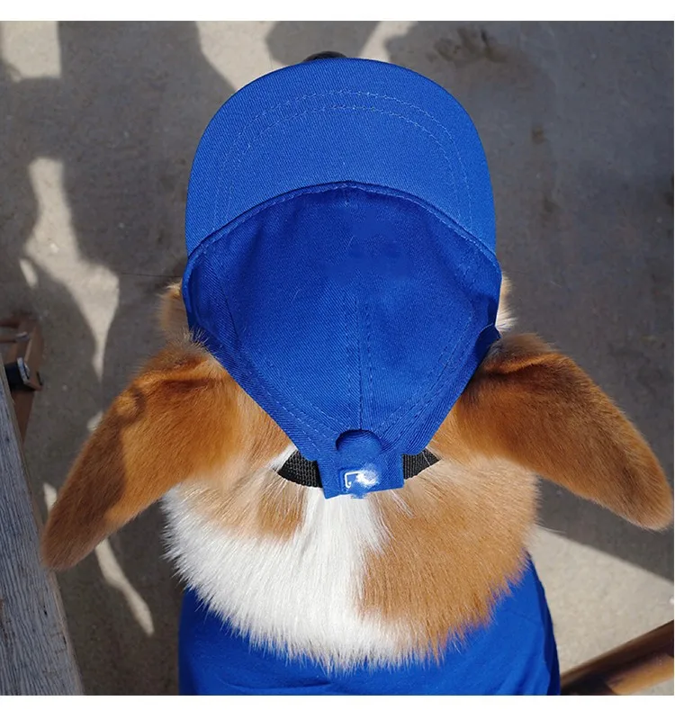 Pet Hat.