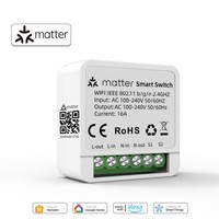Matter WIFI Smart Switch Module Relay Breaker HomeKit Wireless Control Breaker Works With Siri Alexa Google Home Smart Home Life