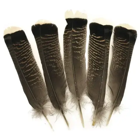 10Pcs Natural Eagle Birds Feather Decor Turkey Feathers for Crafts Carnival Jewelry Handicrafts Accessories Wedding Decoration