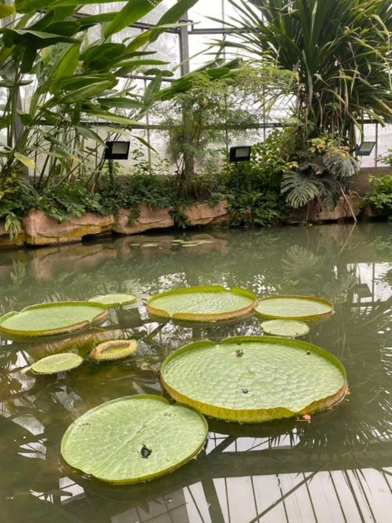 

For Kia Sorento 2009-2025 XM UM MQ4 Paint Touch Up Pen Kit - Scratch Repair Car Scratch Remover with Brush DIY Auto Accessories