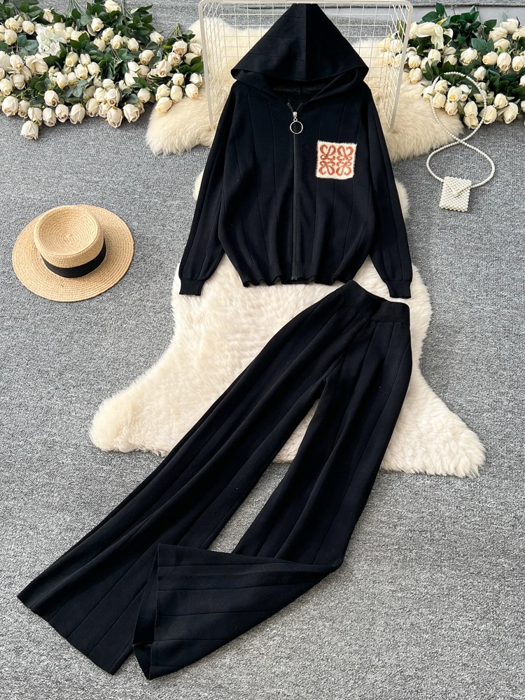 Coreano Sle Abbigliamento sportivo casual Set da due pezzi Donna Allentato Versatile Cerniera con cappuccio Lungo Sve Top lavorato a maglia Pantaloni a gamba larga