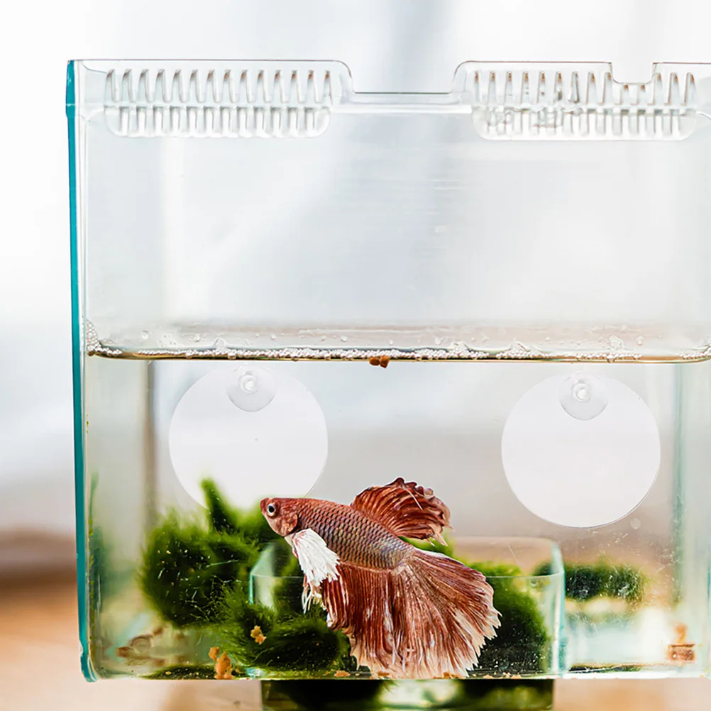 กระจกฝึกปลาเบต้า 2 ชิ้น แบบสองด้าน ทำจากอะคริลิก พร้อมจุกดูด สำหรับการฝึกและเสริมสร้างพัฒนาการ ดีไซน์แบบลูกบอลลอยน้ำ