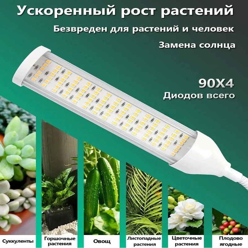 2026 12V Clip On Full Spectrum Timing Grow Light Basic Equipment For Home Desk Window Succulent Seedling Decor